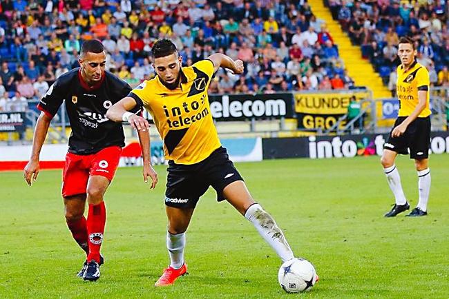 对于任何马 对于任何马