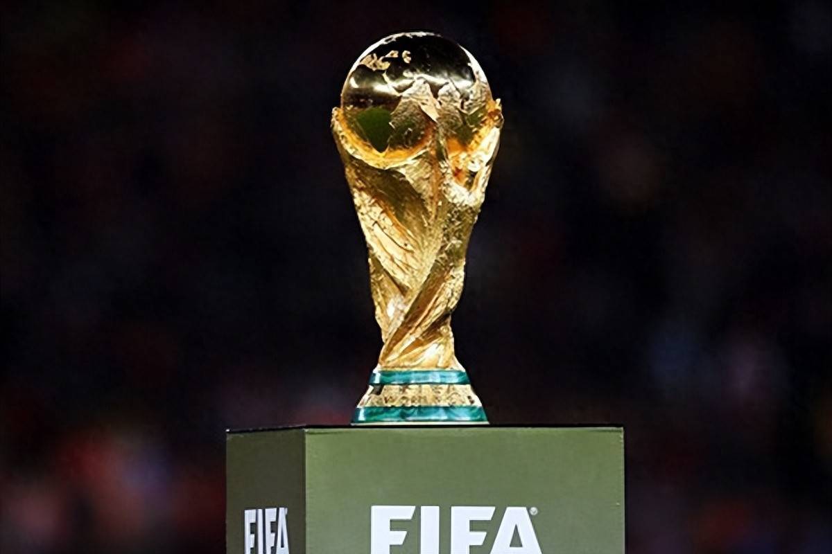 但他们缺少 但他们缺少